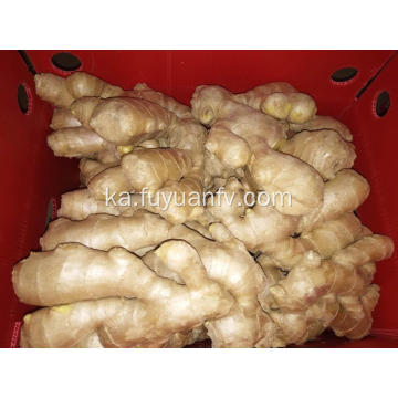 საჰაერო გამხმარი Ginger 2018 ახალი Crop